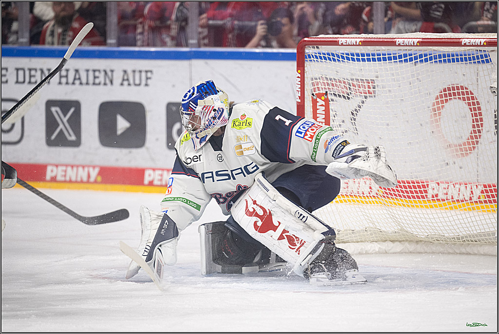 PENNY DEL 1 - Playoff Halbfinale - Kölner Haie - Eisbären Berlin; Köln, 20.04.2026