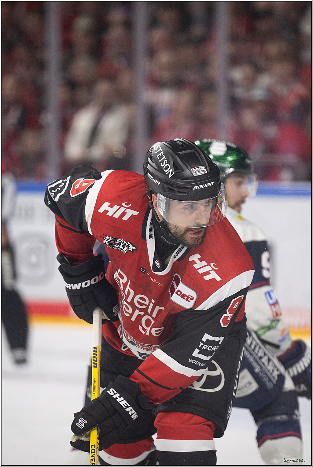 PENNY DEL 1 - Playoff Halbfinale - Kölner Haie - Eisbären Berlin; Köln, 20.04.2026