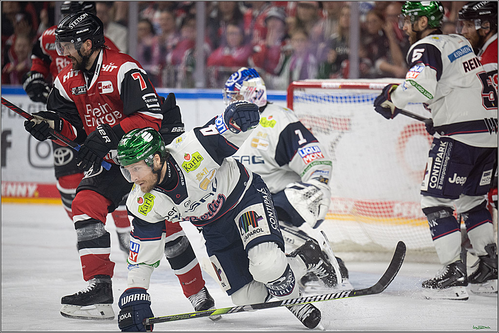 PENNY DEL 1 - Playoff Halbfinale - Kölner Haie - Eisbären Berlin; Köln, 20.04.2026