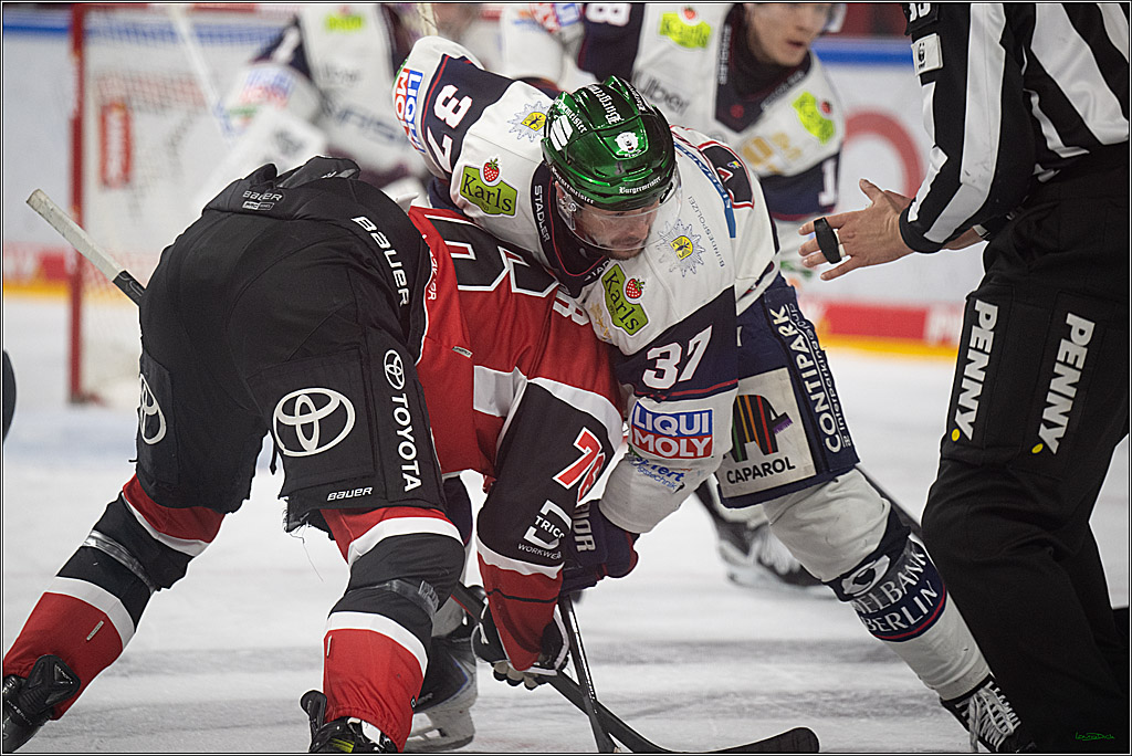PENNY DEL 1 - Playoff Halbfinale - Kölner Haie - Eisbären Berlin; Köln, 20.04.2026