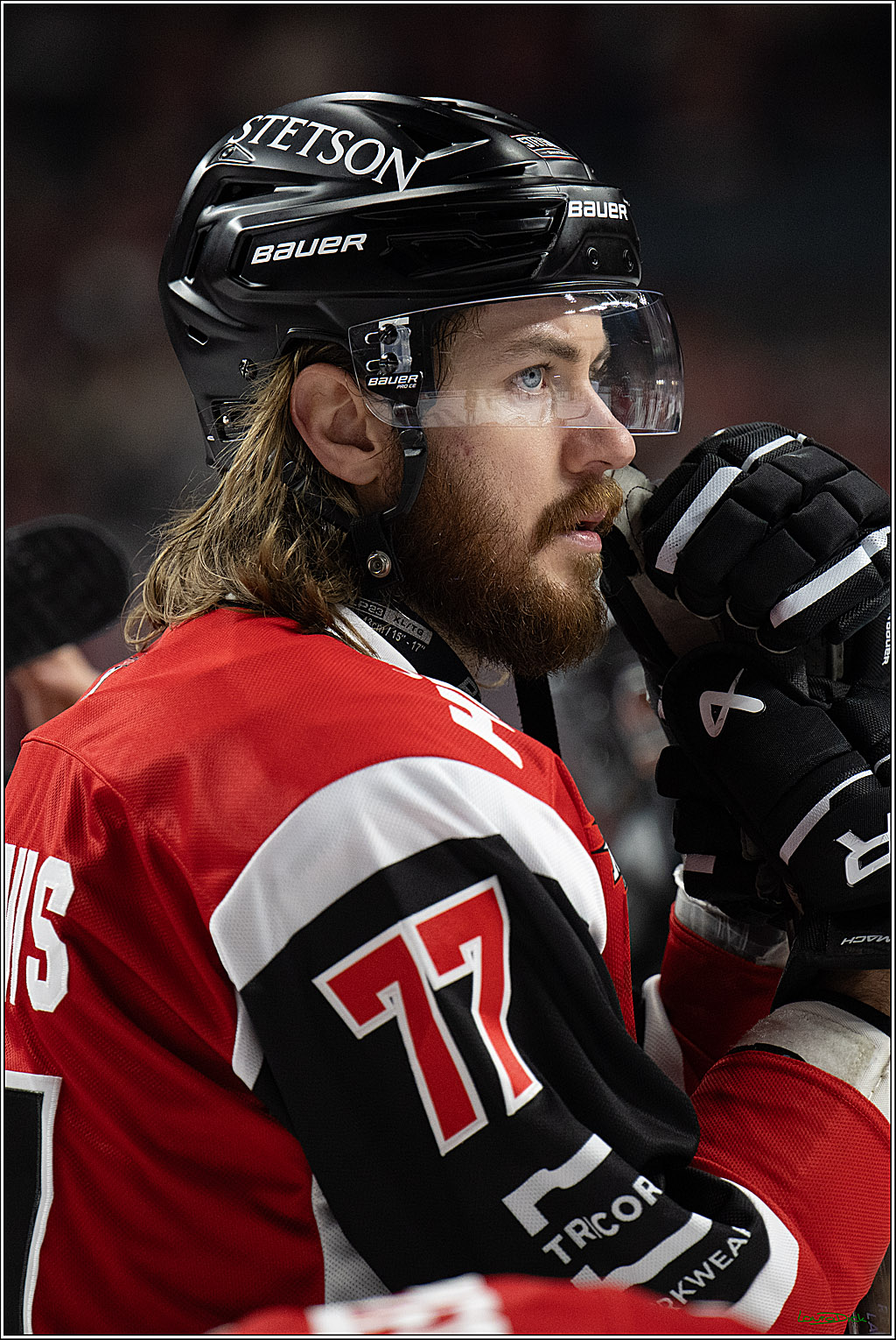 PENNY DEL 1 - Playoff Halbfinale - Kölner Haie - Eisbären Berlin; Köln, 20.04.2026