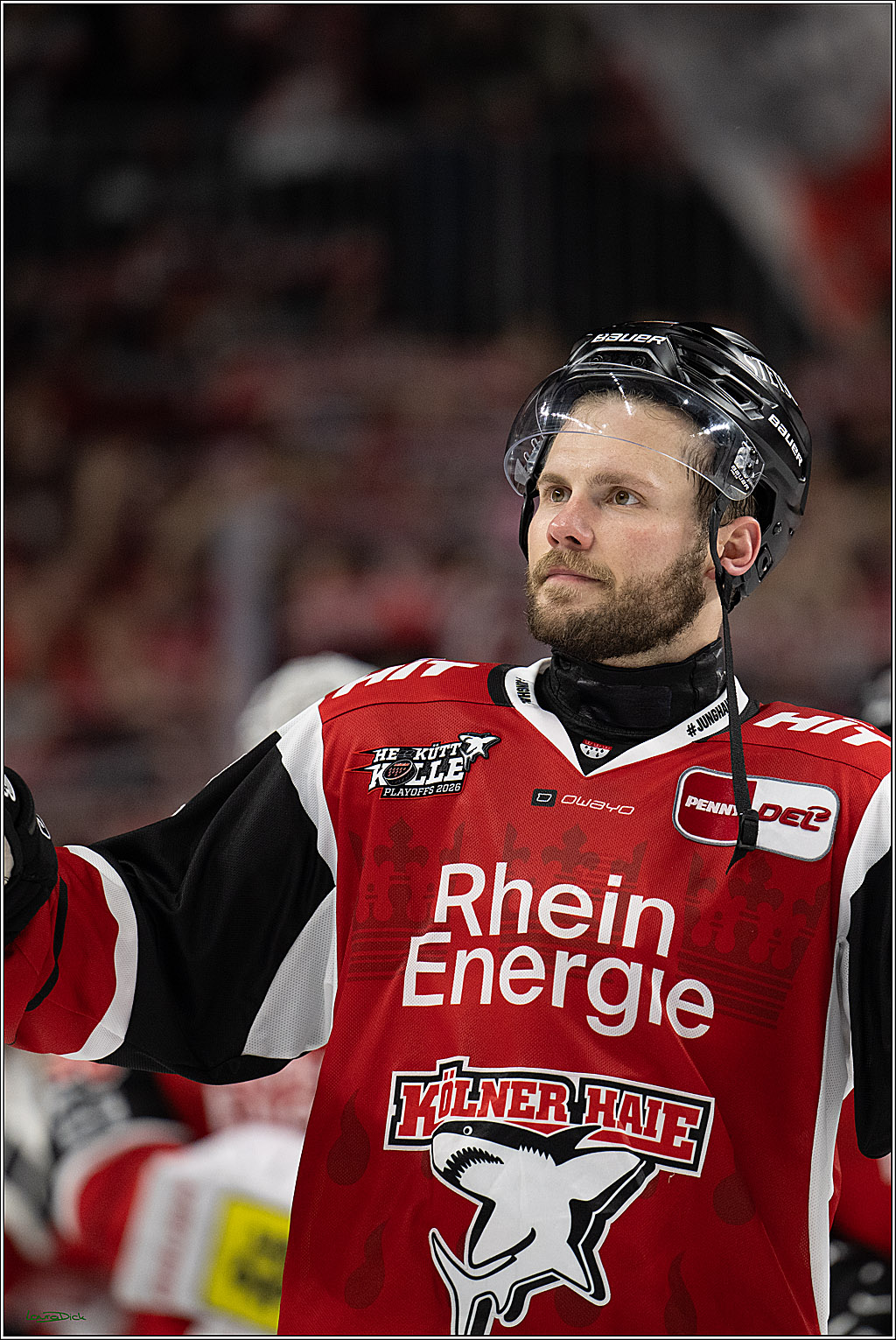 PENNY DEL 1 - Playoff Halbfinale - Kölner Haie - Eisbären Berlin; Köln, 20.04.2026