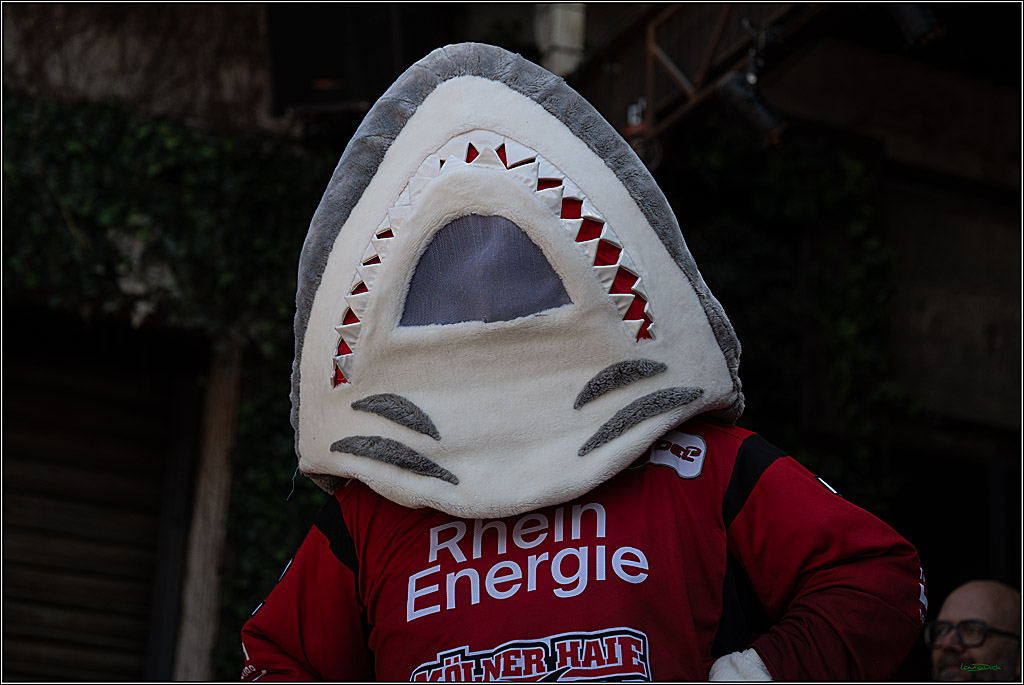 PENNY DEL 1 - Saisonabschlussfeier der Kölner Haie 2025/2026; Köln, 26.04.2026