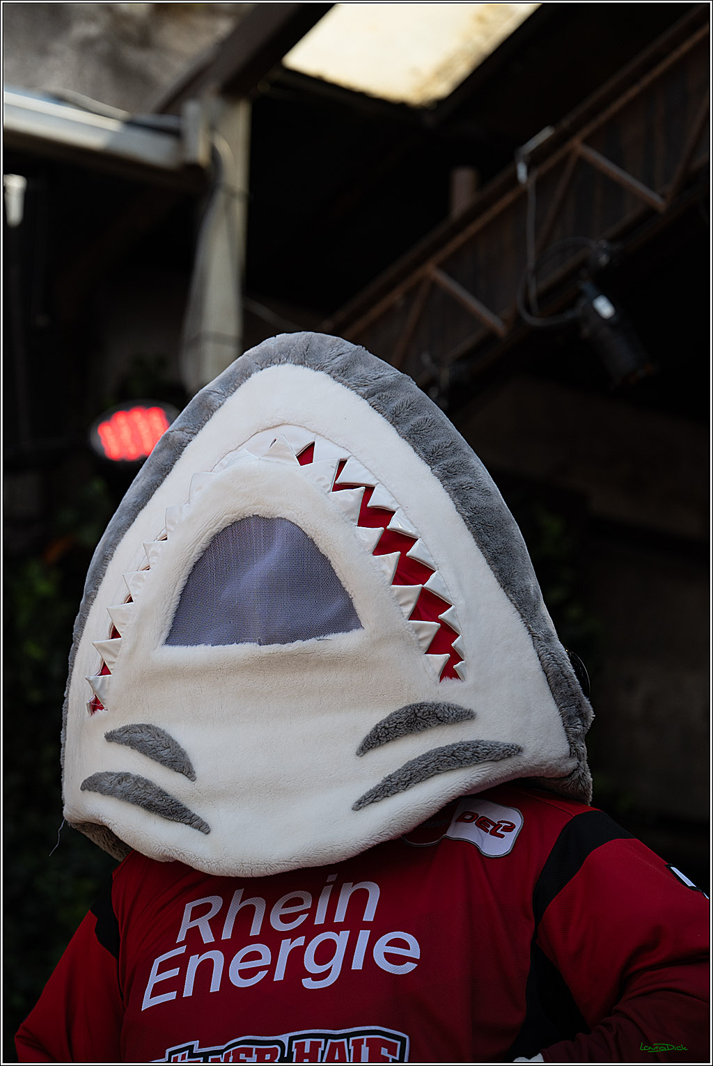 PENNY DEL 1 - Saisonabschlussfeier der Kölner Haie 2025/2026; Köln, 26.04.2026