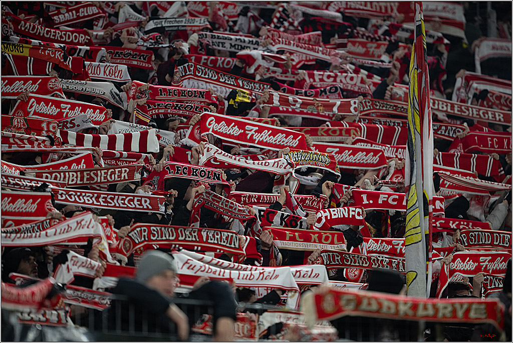 1. Fussball Bundesliga, 1.FC Köln - Eintracht Frankfurt, 22.11.2025