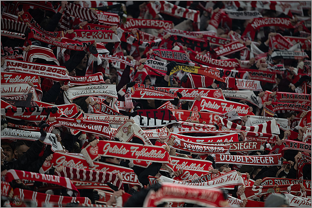 1. Fussball Bundesliga, 1.FC Köln - Eintracht Frankfurt, 22.11.2025