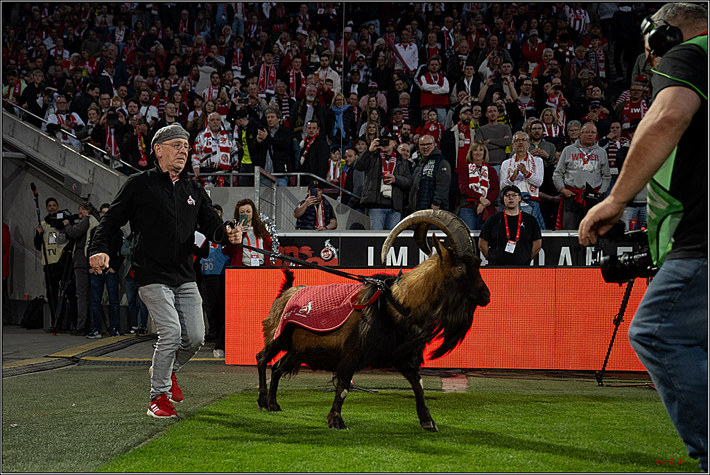 1. Fussball Bundesliga, 1.FC Köln - Borussia Dortmund, 07.03.2026