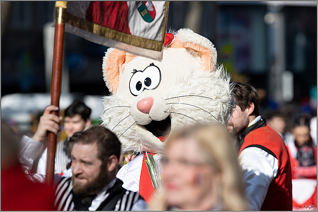 1.Stassenbahnsitzung Rosenmontagszug 2023 - Club Einundfünfzig; Koeln, 20.02.2023