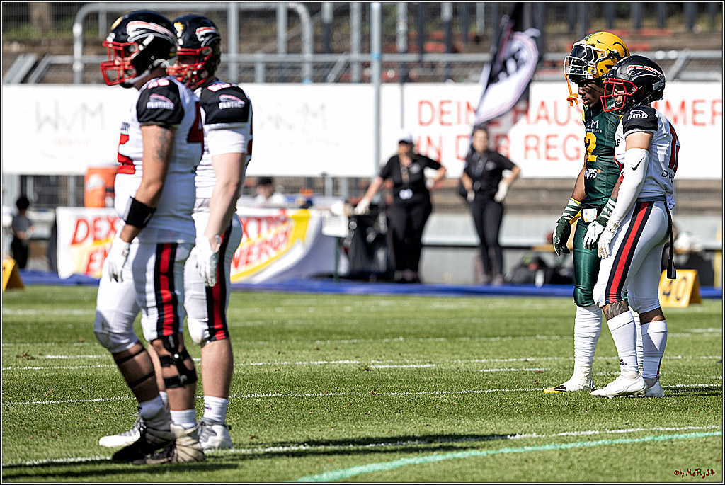 GFL (Nord): Cologne Crocodiles vs Duesseldorf Panther, 22.05.2022
