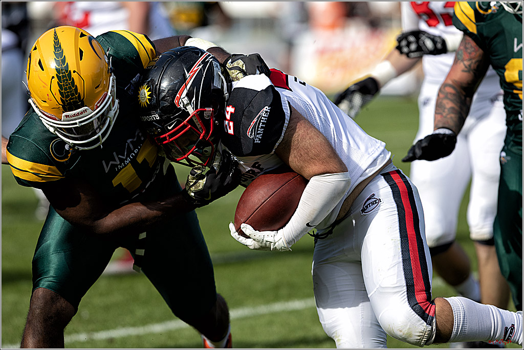 GFL (Nord): Cologne Crocodiles vs Duesseldorf Panther, 22.05.2022