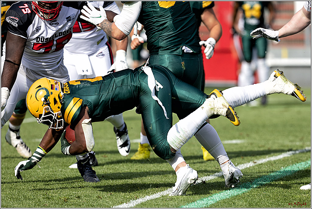 GFL (Nord): Cologne Crocodiles vs Duesseldorf Panther, 22.05.2022