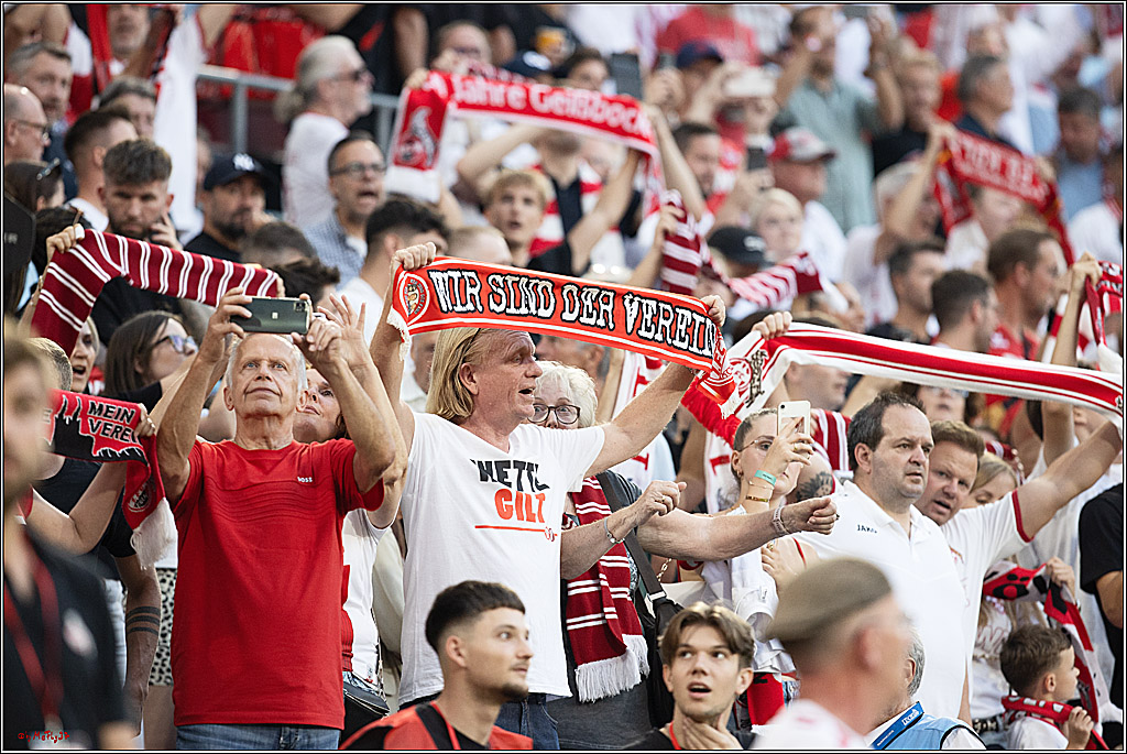 2. Fussball Bundesliga, 1. FC Köln - Hamburger SV  - , 02.08.2024