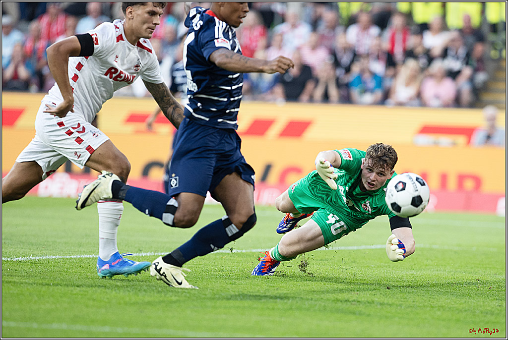 2. Fussball Bundesliga, 1. FC Köln - Hamburger SV  - , 02.08.2024