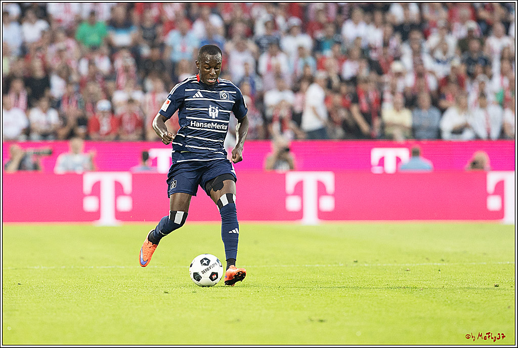 2. Fussball Bundesliga, 1. FC Köln - Hamburger SV  - , 02.08.2024