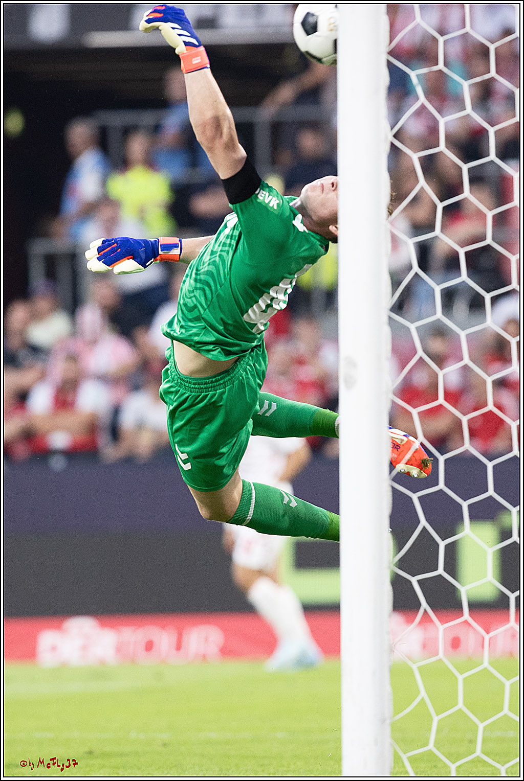 2. Fussball Bundesliga, 1. FC Köln - Hamburger SV  - , 02.08.2024