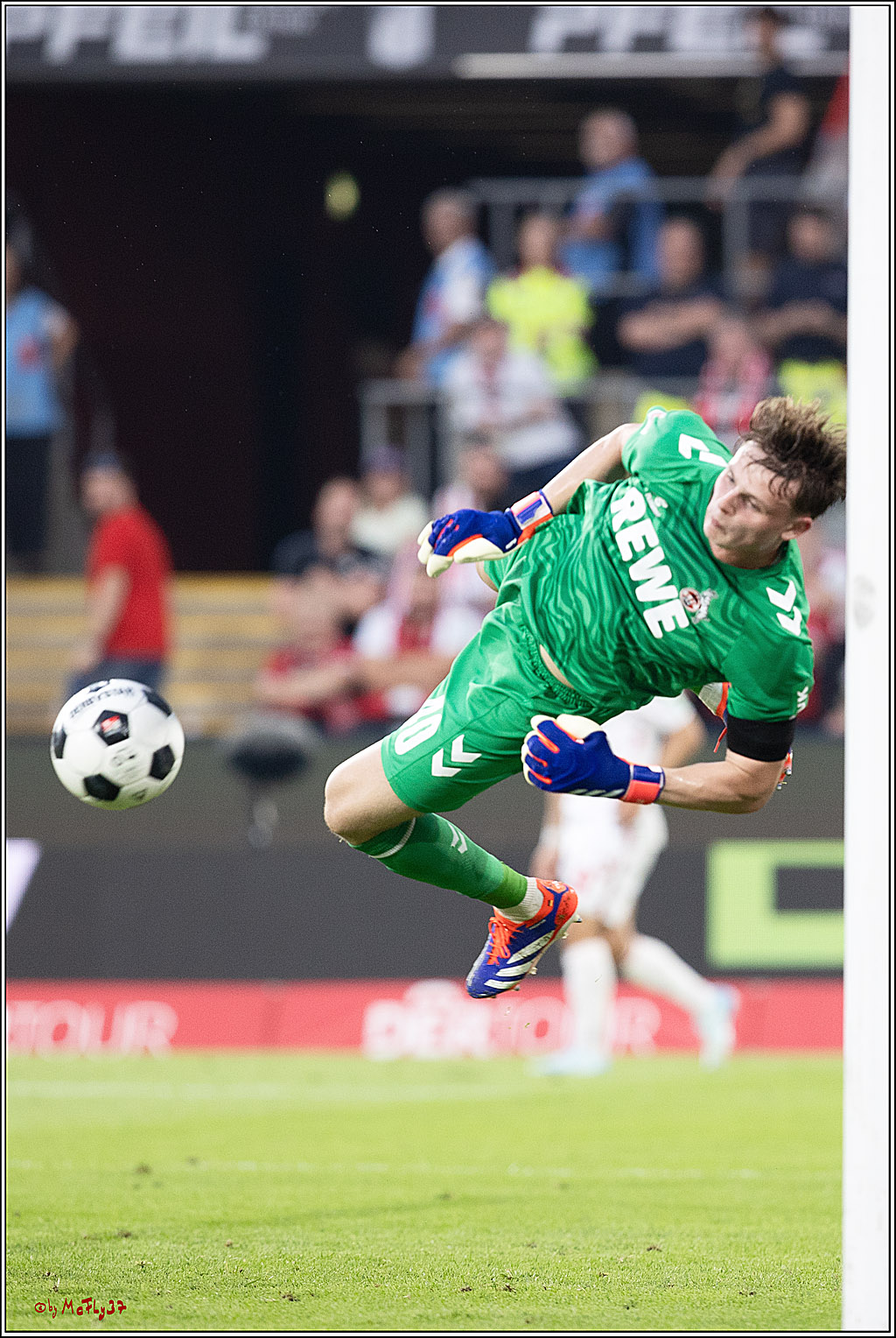 2. Fussball Bundesliga, 1. FC Köln - Hamburger SV  - , 02.08.2024