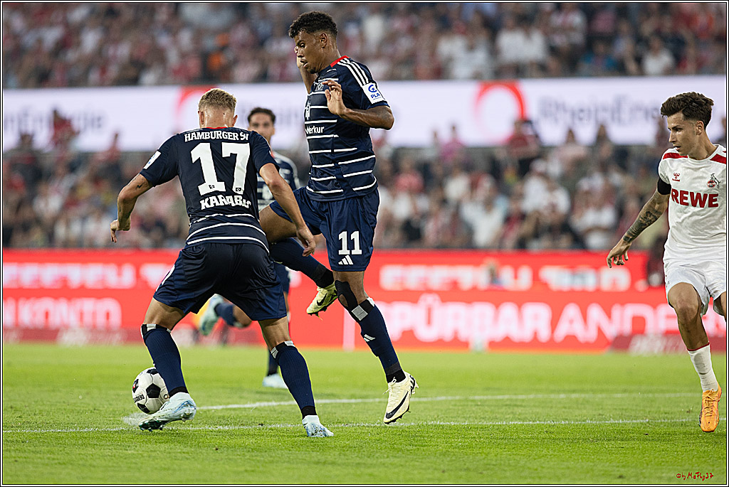 2. Fussball Bundesliga, 1. FC Köln - Hamburger SV  - , 02.08.2024