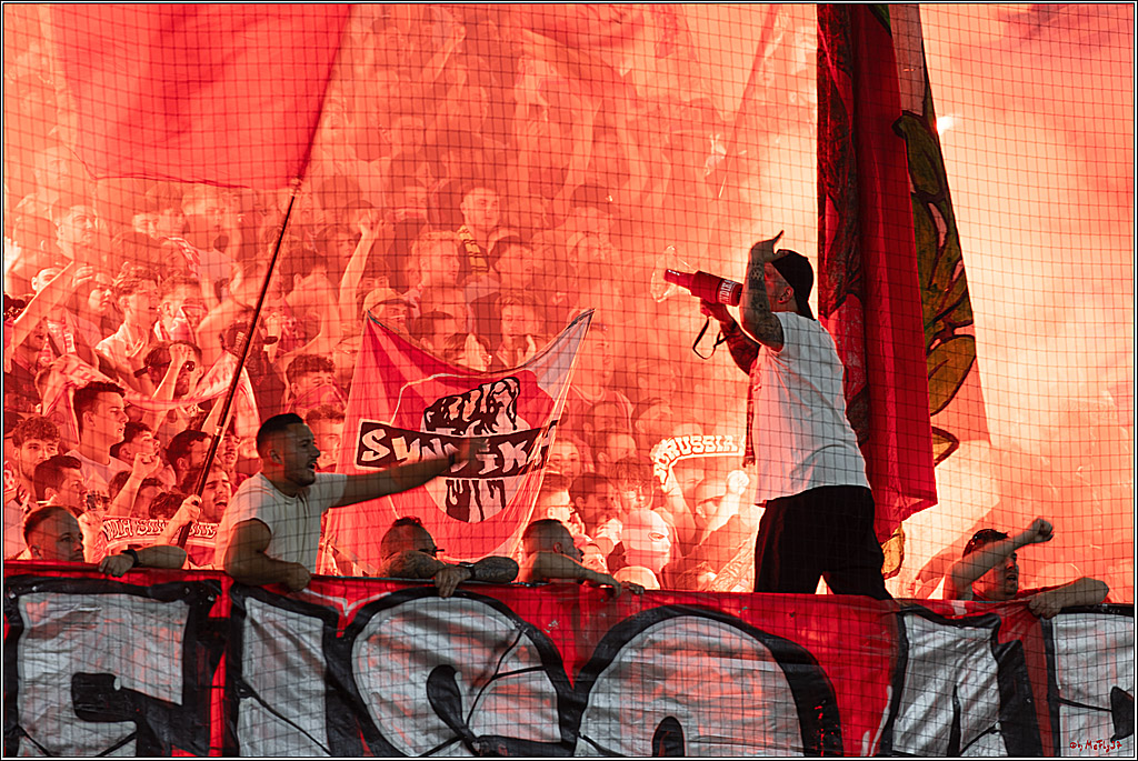 2. Fussball Bundesliga, 1. FC Köln - Hamburger SV  - , 02.08.2024