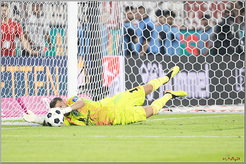 2. Fussball Bundesliga, 1. FC Köln - Hamburger SV  - , 02.08.2024