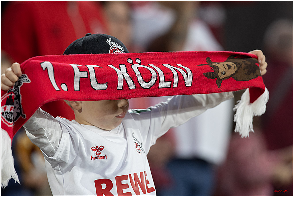 2. Fussball Bundesliga, 1.FC Köln - SC Paderborn 07, 25.10.2024