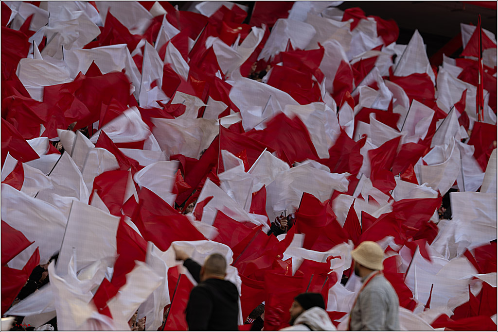 2. Fussball Bundesliga, 1.FC Köln - Hannover 96, 30.11.2024