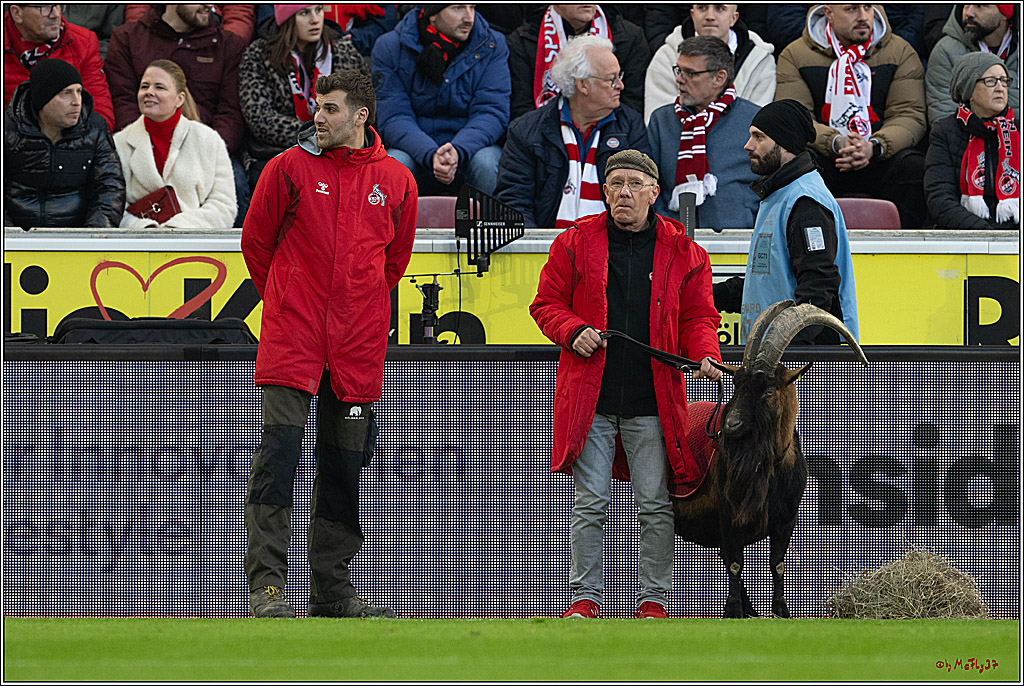 2. Fussball Bundesliga, 1.FC Köln - Hannover 96, 30.11.2024