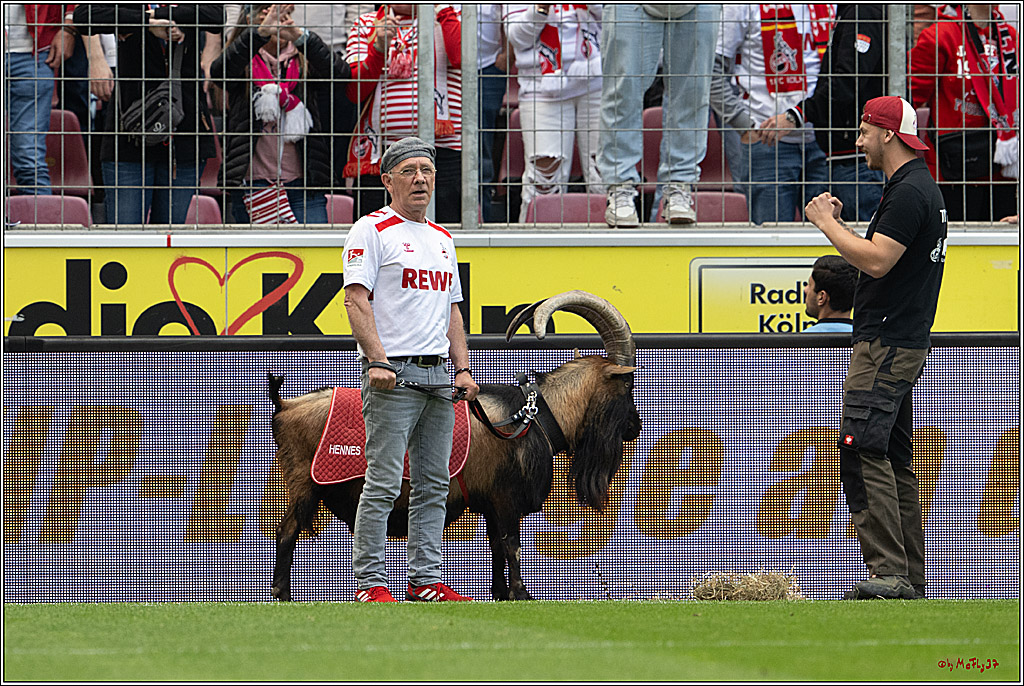 2. Fussball Bundesliga, 1.FC Köln - 1. FC Kaiserslautern, 18.05.2025