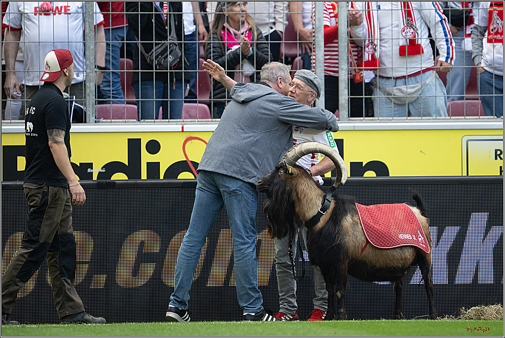 2. Fussball Bundesliga, 1.FC Köln - 1. FC Kaiserslautern, 18.05.2025
