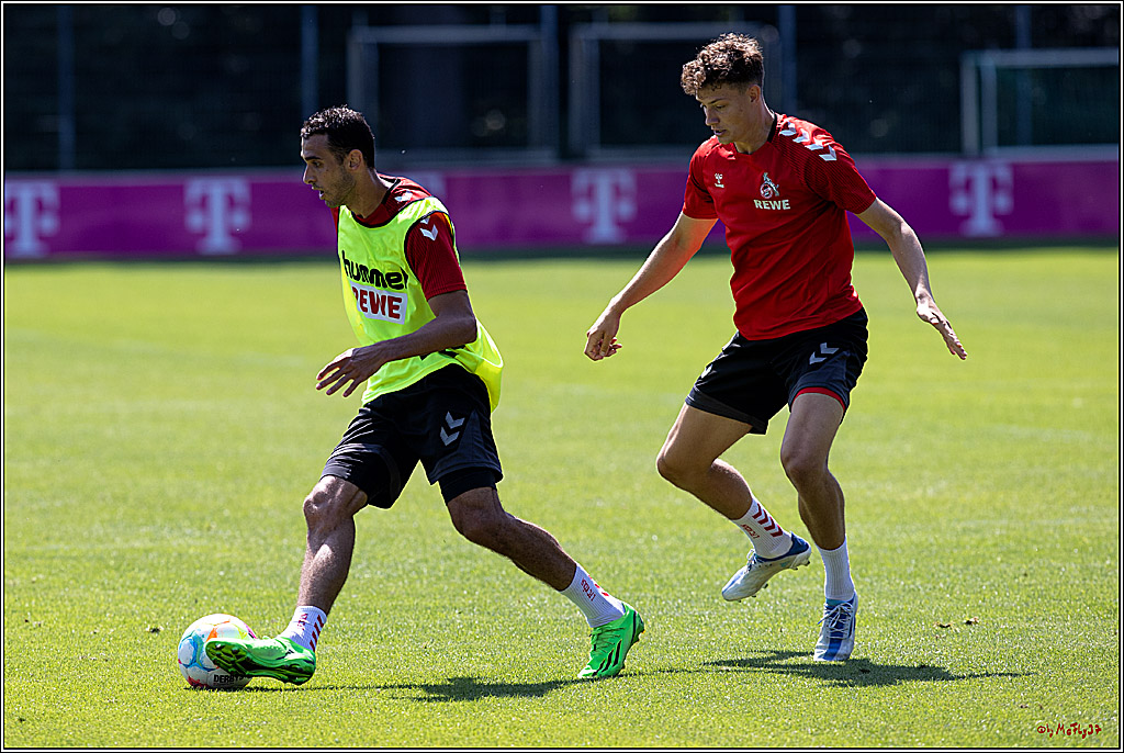 1. Fußball Bundesliga, Training 1.FC Köln, 19.07.2022