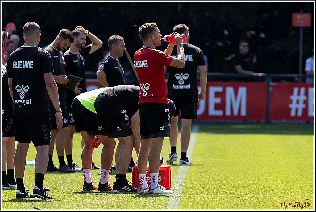 1. Fußball Bundesliga, Training 1.FC Köln, 19.07.2022