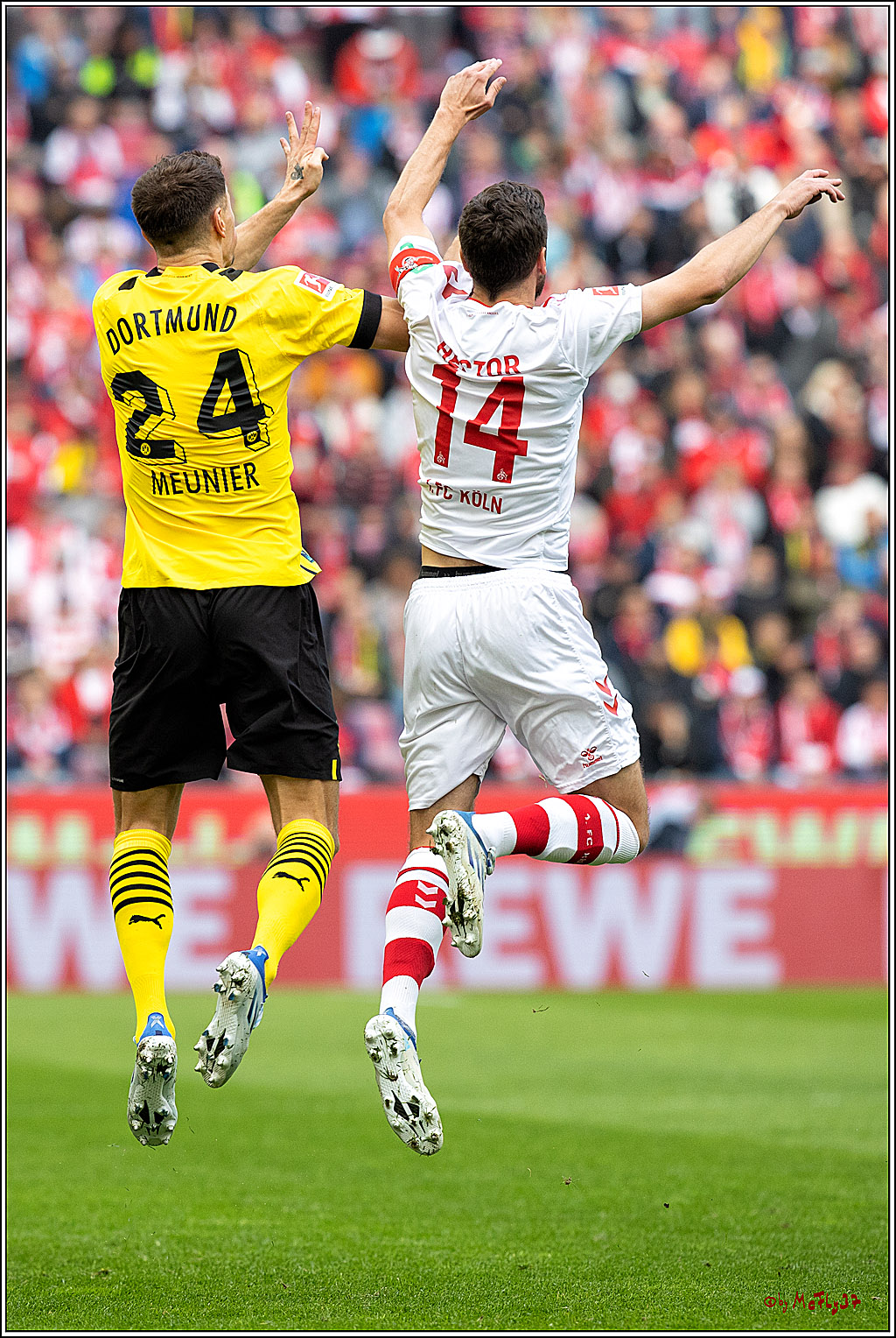 1. Fußball Bundesliga, 1.FC Köln - Borussia Dortmund, 01.10.2022