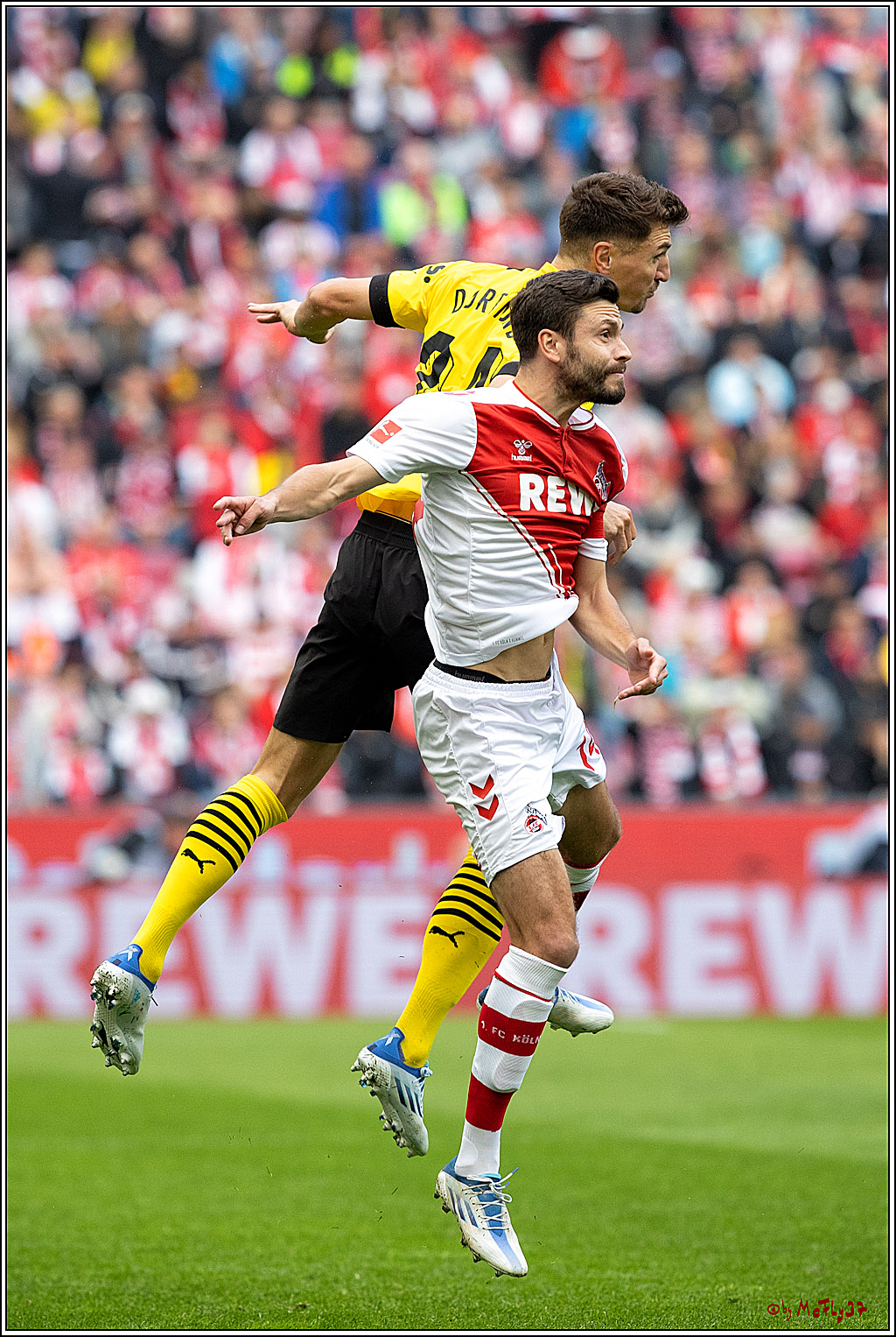 1. Fußball Bundesliga, 1.FC Köln - Borussia Dortmund, 01.10.2022