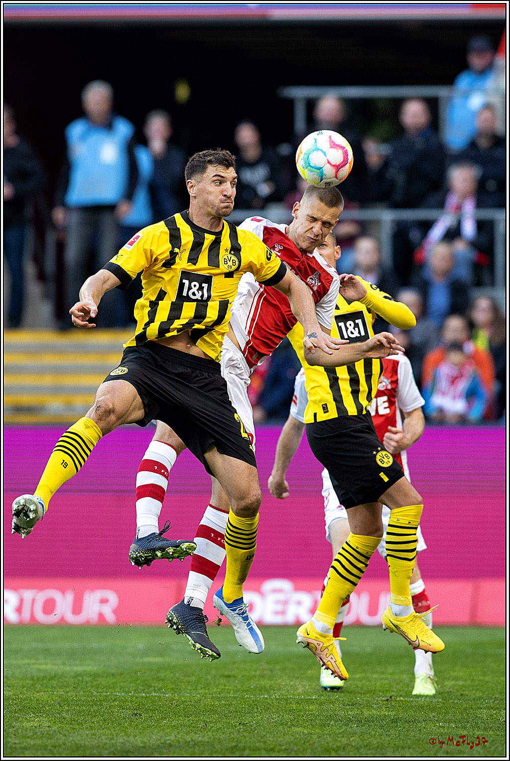 1. Fußball Bundesliga, 1.FC Köln - Borussia Dortmund, 01.10.2022