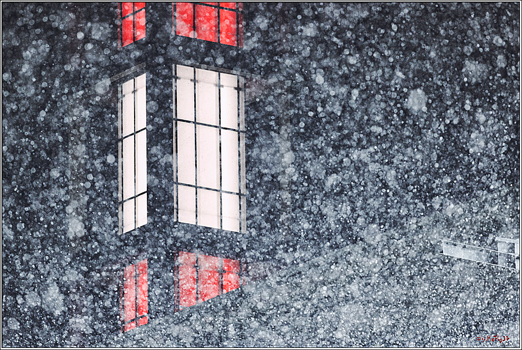 1. Fußball Bundesliga, 1.FC Köln - VfL Bochum, 10.03.2023