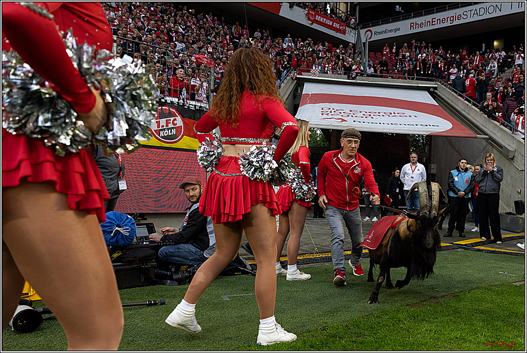 1. Fussball Bundesliga, 1.FC Koeln - Hertha BSC, 12.05.2023