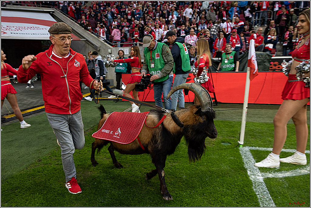 1. Fussball Bundesliga, 1.FC Koeln - Hertha BSC, 12.05.2023