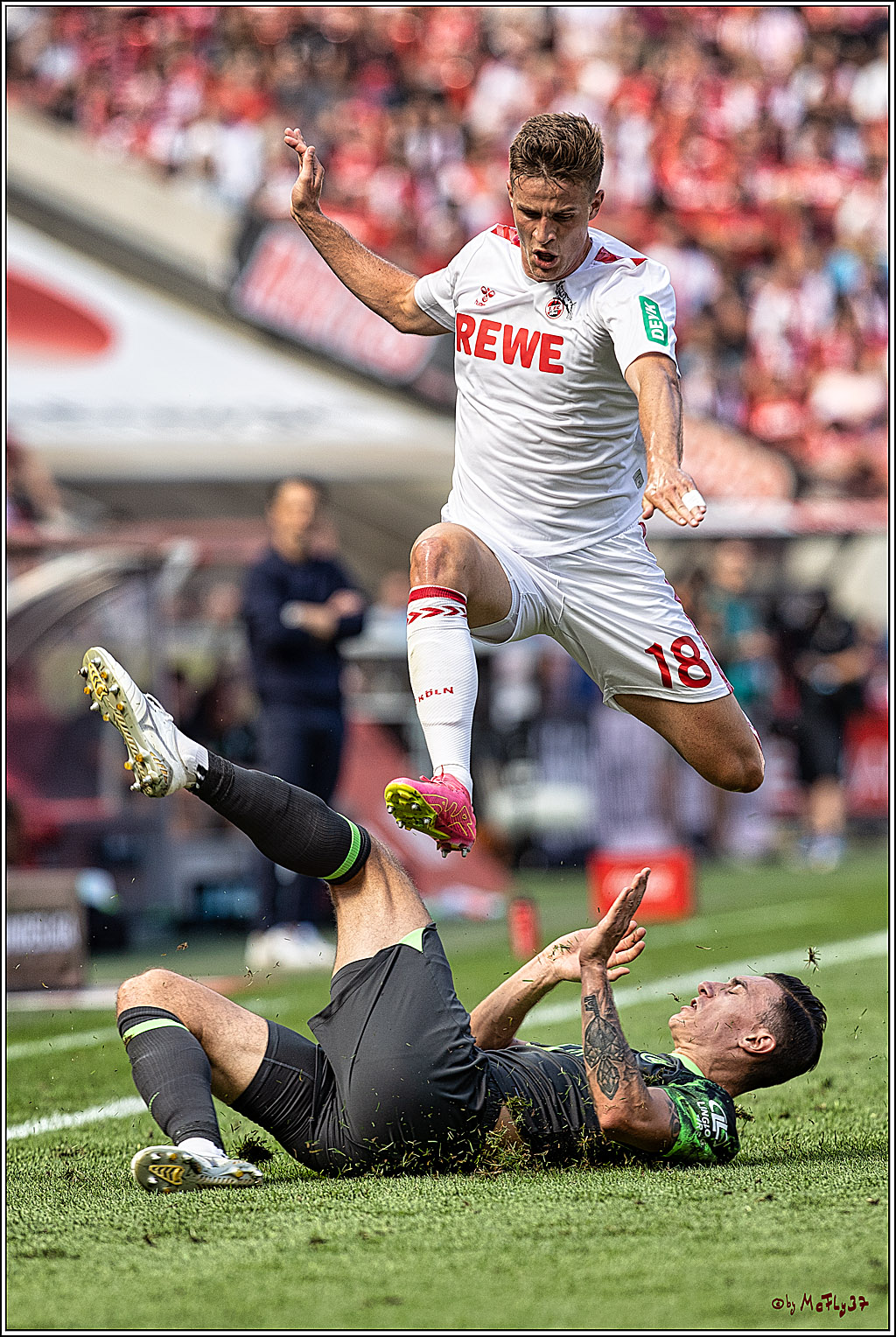 1. Fussball Bundesliga, 1.FC Koeln - VFL Wolfsburg, 26.08.2023