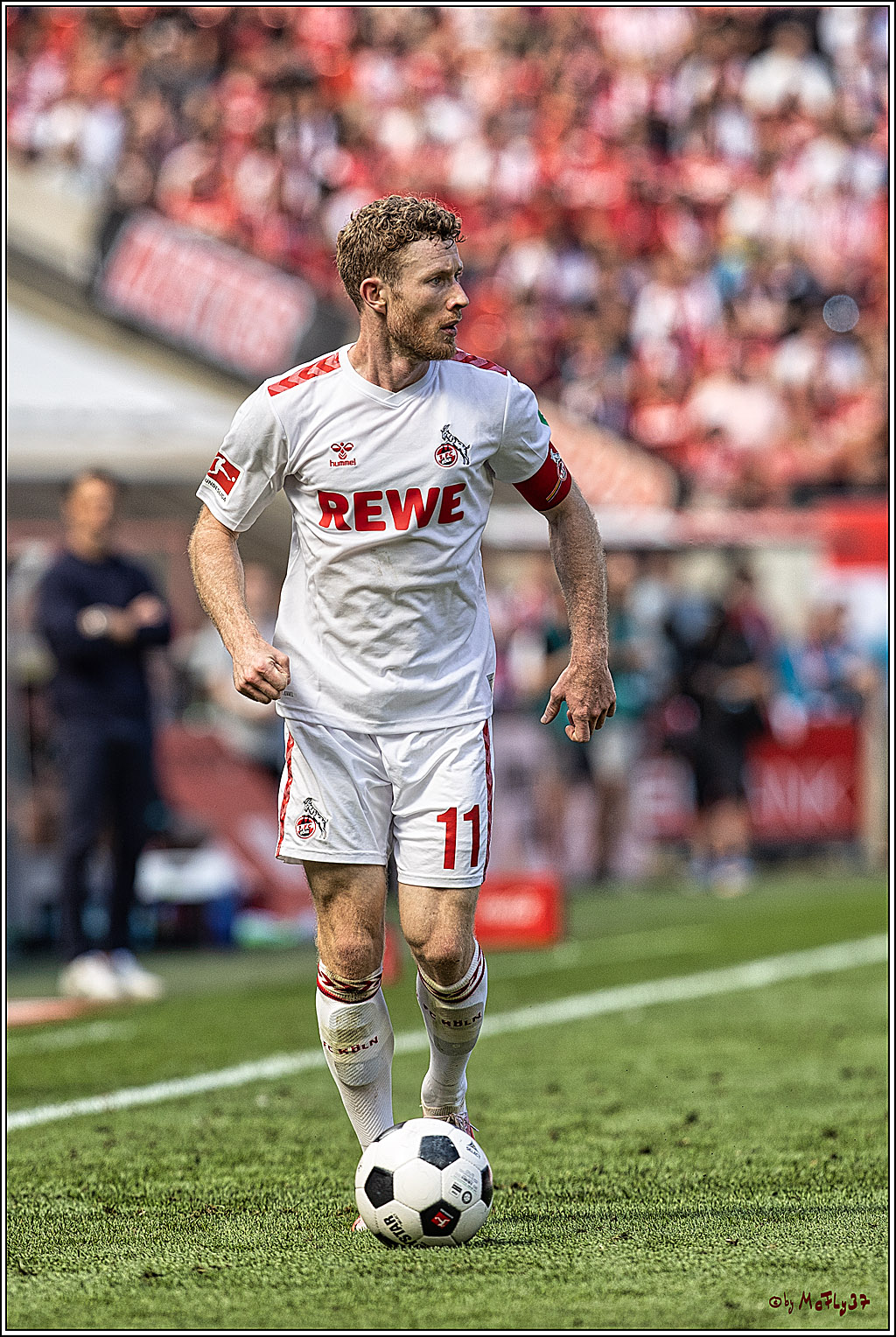 1. Fussball Bundesliga, 1.FC Koeln - VFL Wolfsburg, 26.08.2023