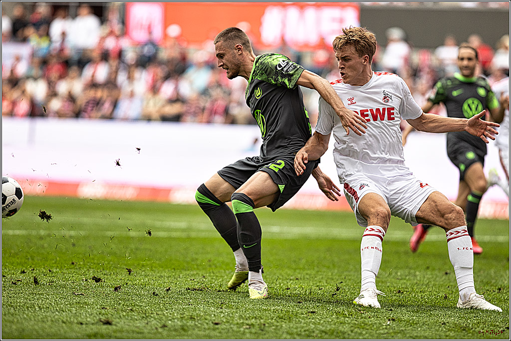 1. Fussball Bundesliga, 1.FC Koeln - VFL Wolfsburg, 26.08.2023