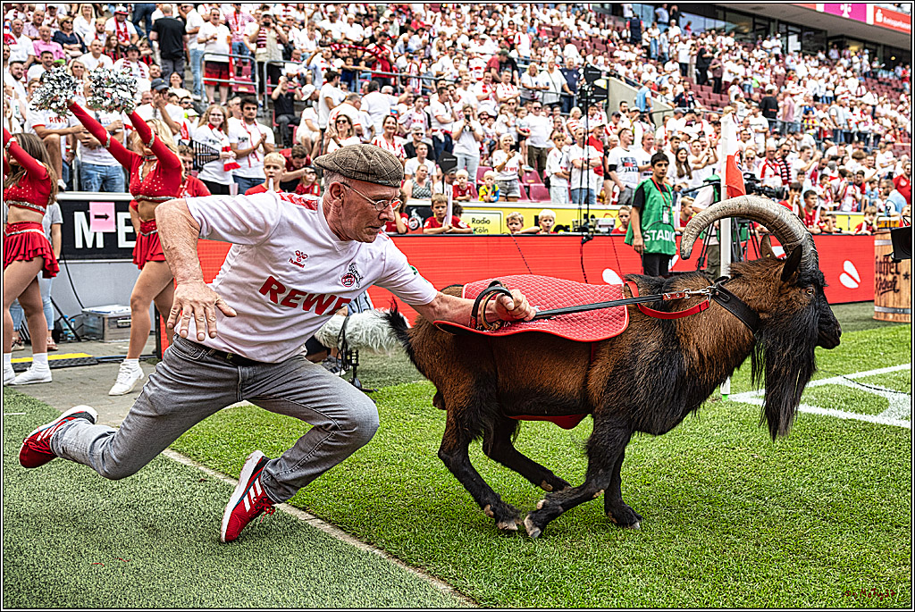 1. Fussball Bundesliga, 1.FC Koeln - TSG 1899 Hoffenheim, 16.09.2023