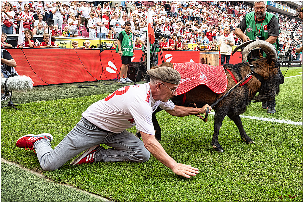 1. Fussball Bundesliga, 1.FC Koeln - TSG 1899 Hoffenheim, 16.09.2023