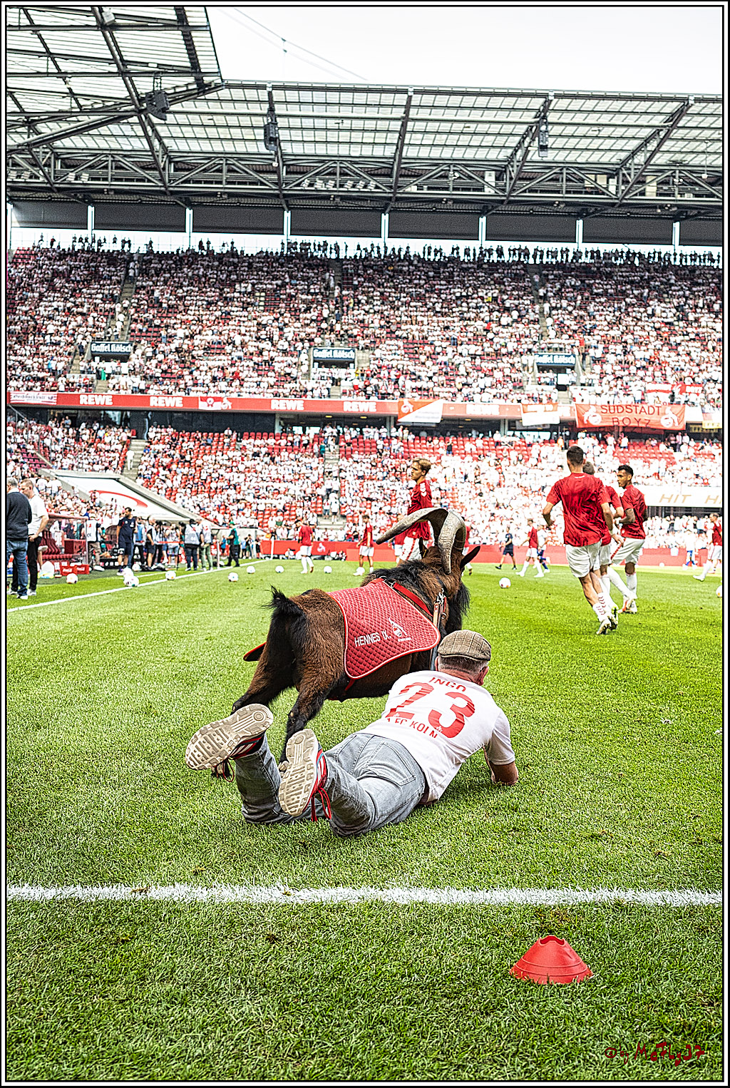 1. Fussball Bundesliga, 1.FC Koeln - TSG 1899 Hoffenheim, 16.09.2023