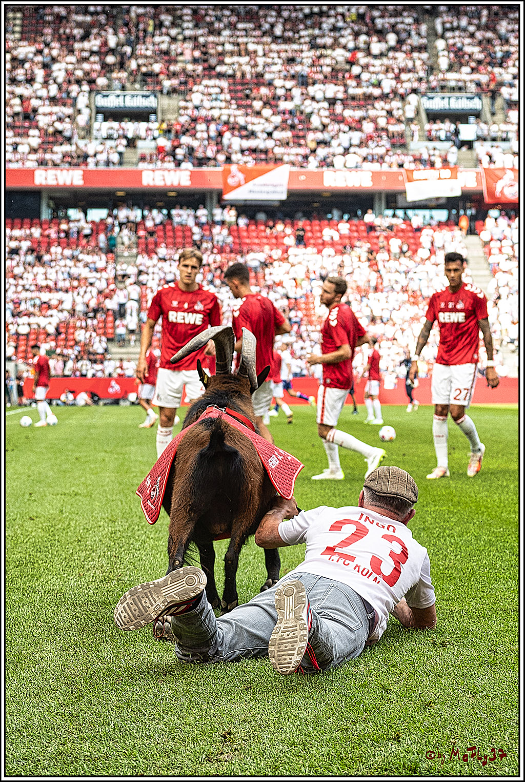1. Fussball Bundesliga, 1.FC Koeln - TSG 1899 Hoffenheim, 16.09.2023
