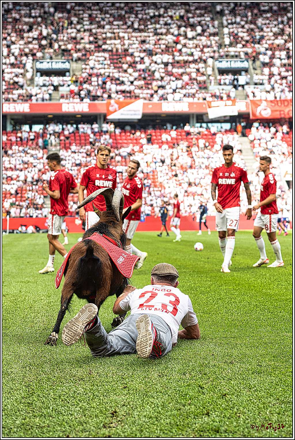 1. Fussball Bundesliga, 1.FC Koeln - TSG 1899 Hoffenheim, 16.09.2023