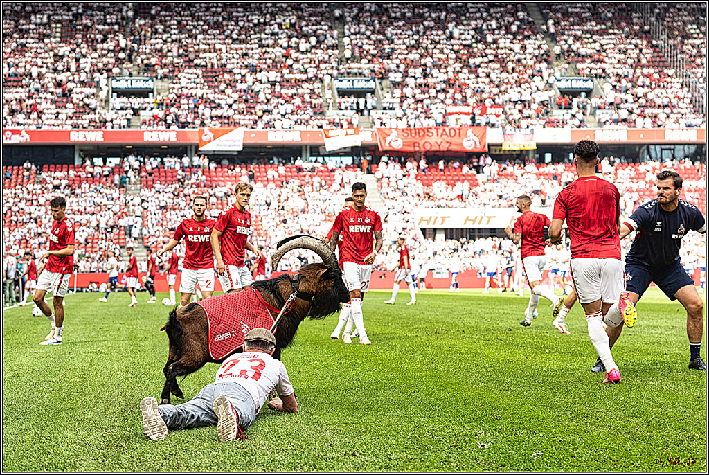 1. Fussball Bundesliga, 1.FC Koeln - TSG 1899 Hoffenheim, 16.09.2023