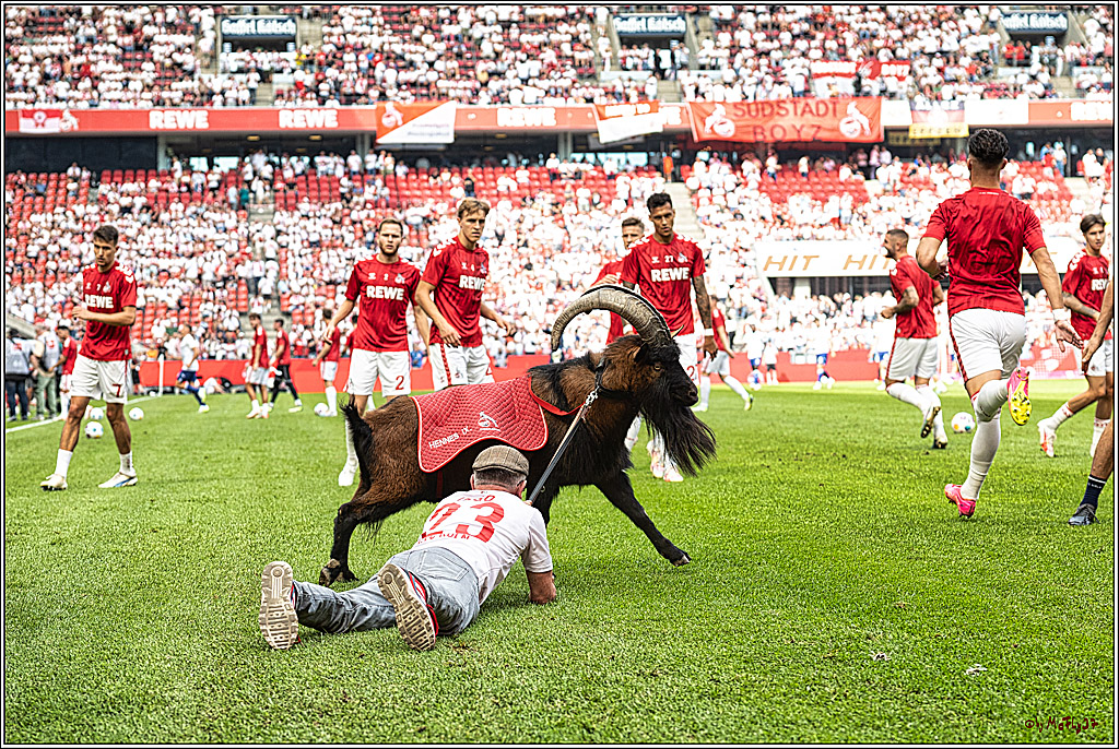 1. Fussball Bundesliga, 1.FC Koeln - TSG 1899 Hoffenheim, 16.09.2023