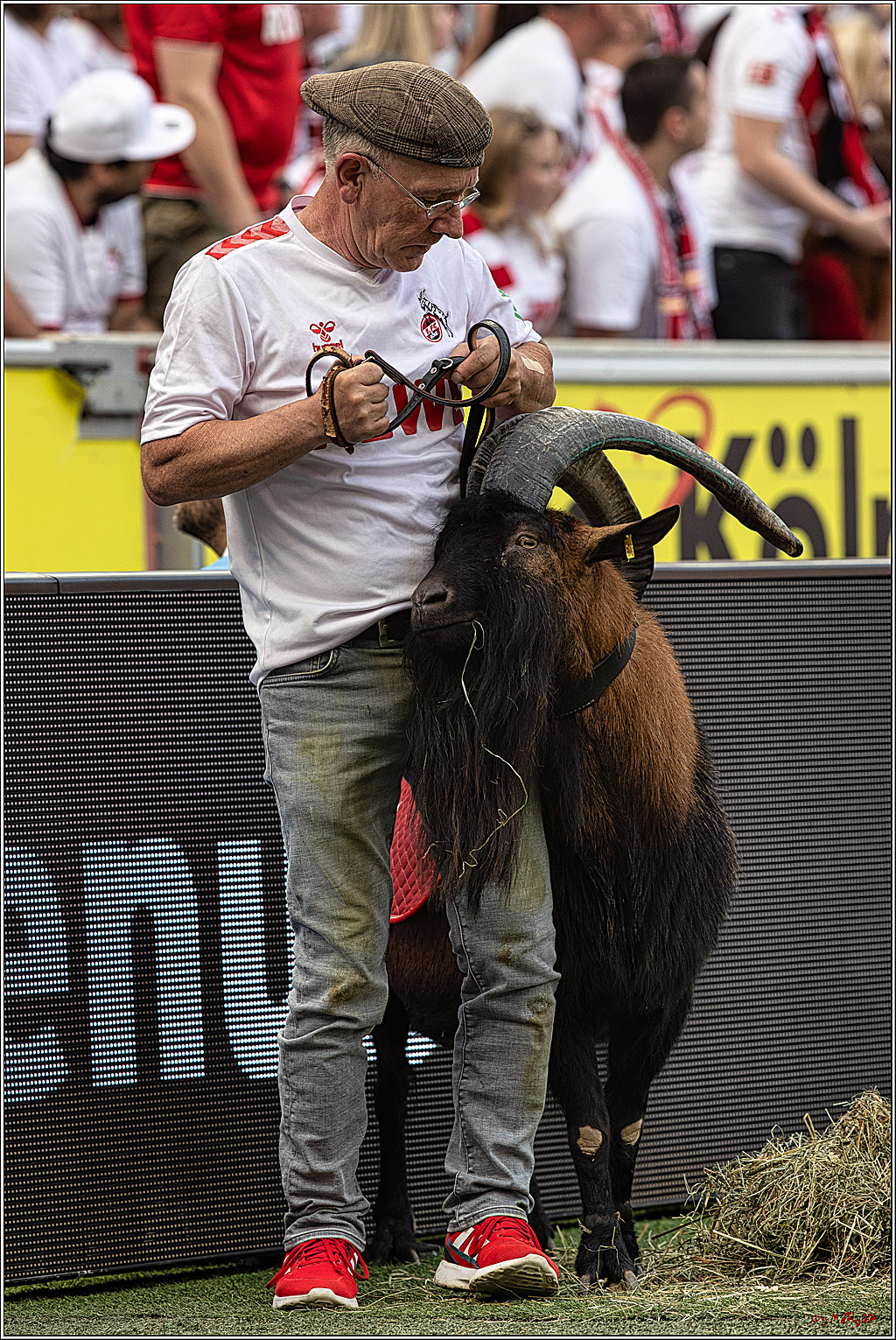 1. Fussball Bundesliga, 1.FC Koeln - TSG 1899 Hoffenheim, 16.09.2023