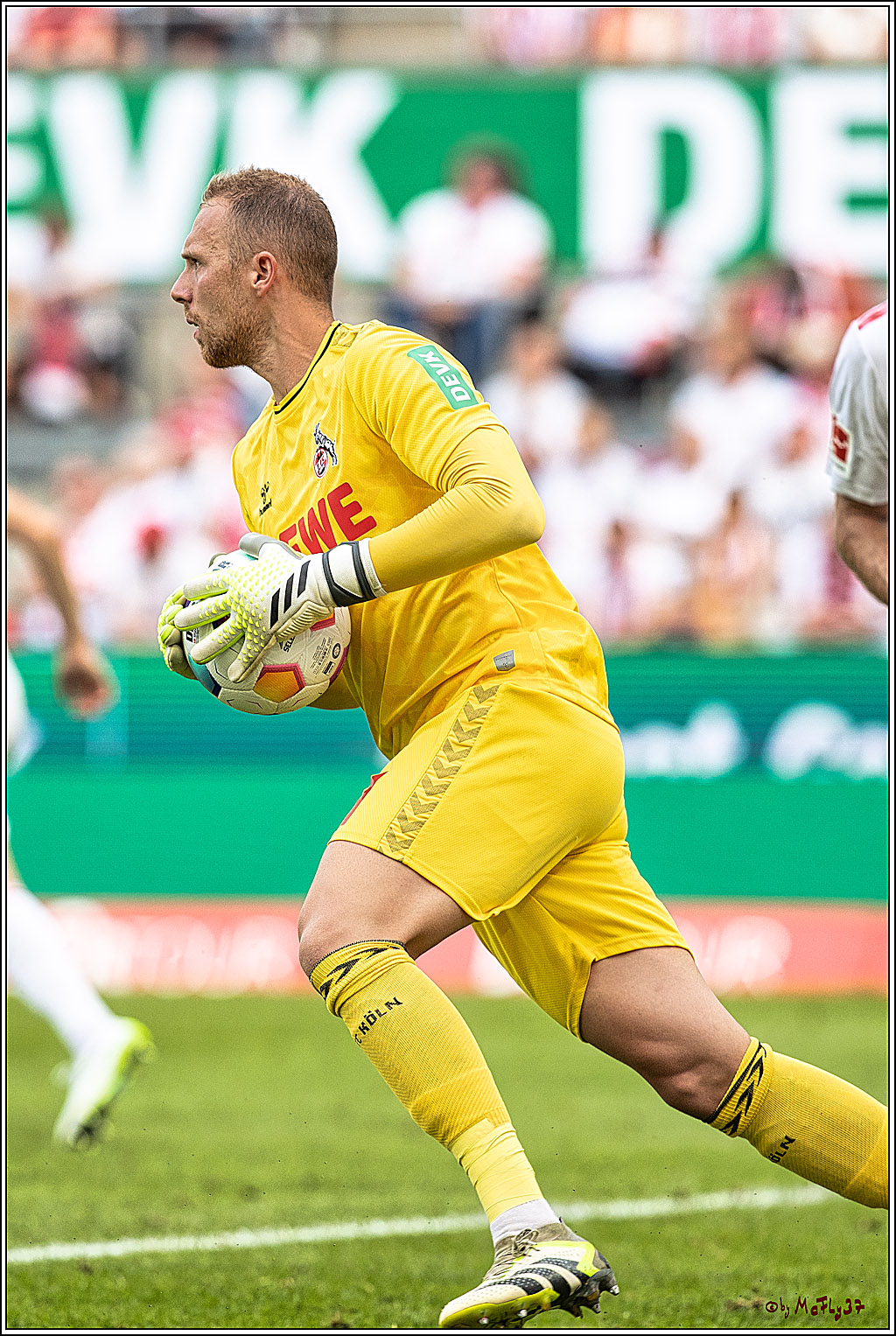 1. Fussball Bundesliga, 1.FC Koeln - TSG 1899 Hoffenheim, 16.09.2023