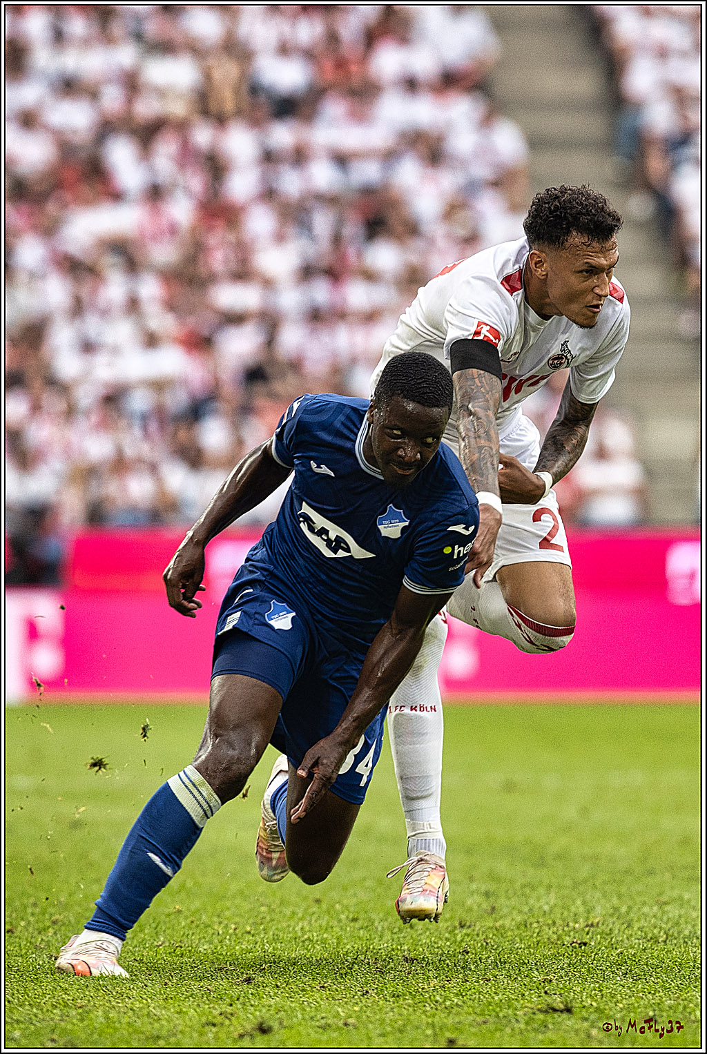 1. Fussball Bundesliga, 1.FC Koeln - TSG 1899 Hoffenheim, 16.09.2023