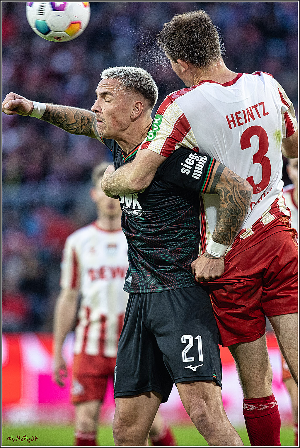 1. Fussball Bundesliga, 1.FC Koeln - FC Augsburg, 04.11.2023